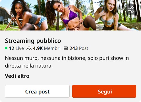 Segui il Canale