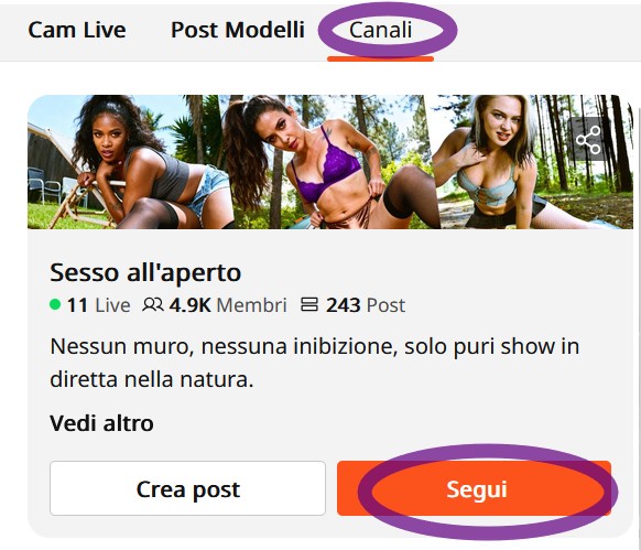 Segui il Canale